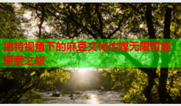 独特视角下的麻豆文化传媒无限可能探索之旅