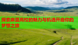 探索麻豆高校的魅力与机遇开启你的梦想之旅