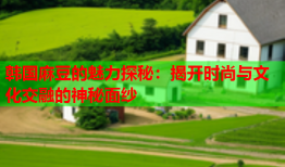 韩国麻豆的魅力探秘：揭开时尚与文化交融的神秘面纱