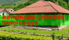 麻豆99的魅力揭秘 让你欲罢不能的精彩瞬间与背后故事