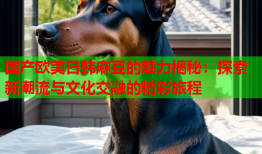 国产欧美日韩麻豆的魅力揭秘：探索新潮流与文化交融的精彩旅程