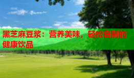 黑芝麻豆浆：营养美味，轻松自制的健康饮品