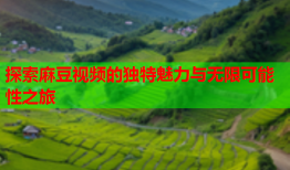探索麻豆视频的独特魅力与无限可能性之旅
