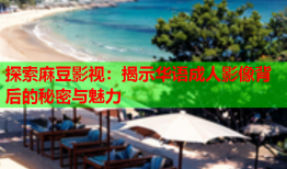 探索麻豆影视：揭示华语成人影像背后的秘密与魅力