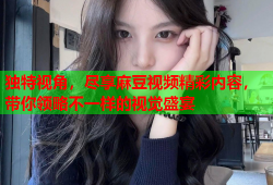 独特视角，尽享麻豆视频精彩内容，带你领略不一样的视觉盛宴
