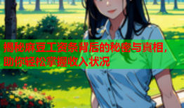 揭秘麻豆工资条背后的秘密与真相，助你轻松掌握收入状况