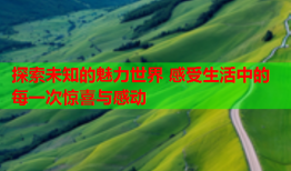 探索未知的魅力世界 感受生活中的每一次惊喜与感动