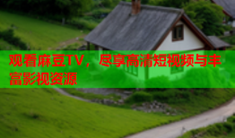 观看麻豆TV，尽享高清短视频与丰富影视资源