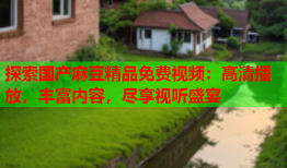 探索国产麻豆精品免费视频：高清播放，丰富内容，尽享视听盛宴