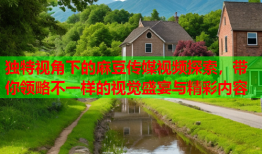 独特视角下的麻豆传媒视频探索，带你领略不一样的视觉盛宴与精彩内容