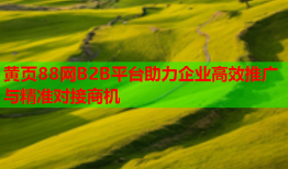 黄页88网B2B平台助力企业高效推广与精准对接商机