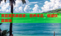 黄豆黑芝麻豆浆：营养丰富，健康饮品首选