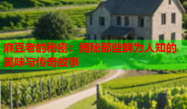 麻豆老的秘密：揭秘那些鲜为人知的美味与传奇故事