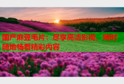国产麻豆毛片：尽享高清影视，随时随地畅看精彩内容