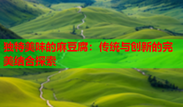 独特美味的麻豆腐：传统与创新的完美结合探索