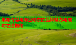 果冻传媒与麻豆精东的品牌魅力与成功之道揭秘