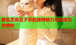 姜盐芝麻豆子茶的独特魅力与健康功效揭秘