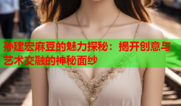 孙建宏麻豆的魅力探秘：揭开创意与艺术交融的神秘面纱