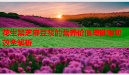 花生黑芝麻豆浆的营养价值与健康功效全解析