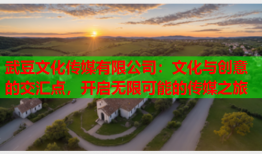 武豆文化传媒有限公司：文化与创意的交汇点，开启无限可能的传媒之旅