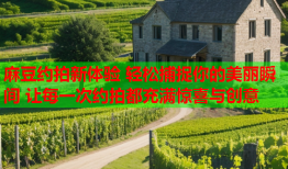麻豆约拍新体验 轻松捕捉你的美丽瞬间 让每一次约拍都充满惊喜与创意