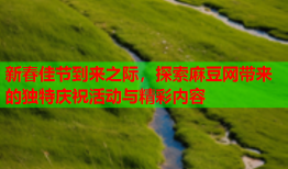 新春佳节到来之际，探索麻豆网带来的独特庆祝活动与精彩内容