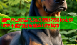 国产麻豆精品视频独特魅力揭秘让你欲罢不能的视听盛宴尽在其中