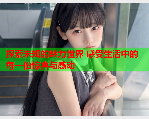 探索未知的魅力世界 感受生活中的每一份惊喜与感动