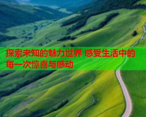 探索未知的魅力世界 感受生活中的每一次惊喜与感动