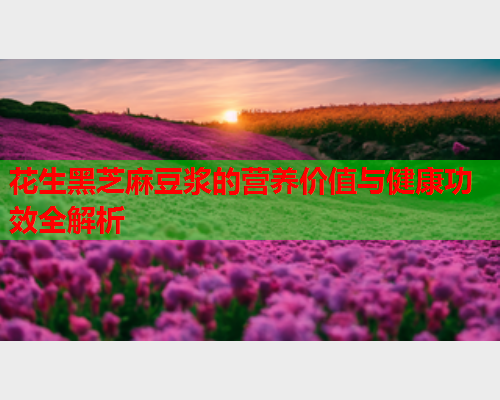 花生黑芝麻豆浆的营养价值与健康功效全解析