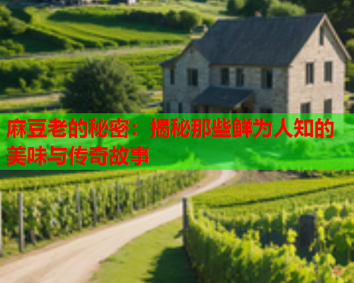 麻豆老的秘密：揭秘那些鲜为人知的美味与传奇故事