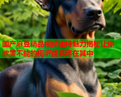 国产麻豆精品视频独特魅力揭秘让你欲罢不能的视听盛宴尽在其中