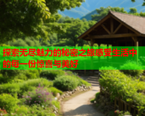 探索无尽魅力的秘密之旅感受生活中的每一份惊喜与美好