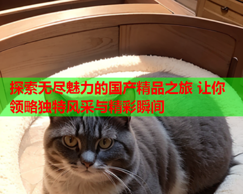 探索无尽魅力的国产精品之旅 让你领略独特风采与精彩瞬间