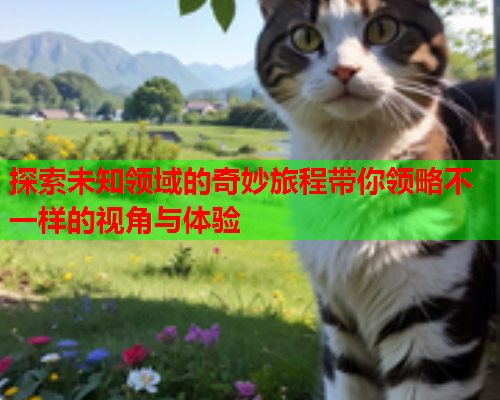 探索未知领域的奇妙旅程带你领略不一样的视角与体验