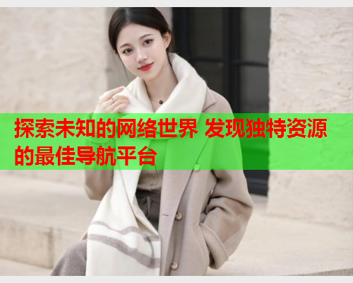 探索未知的网络世界 发现独特资源的最佳导航平台
