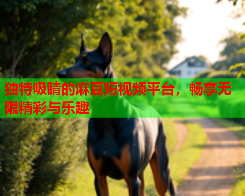 独特吸睛的麻豆短视频平台，畅享无限精彩与乐趣