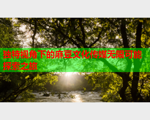 独特视角下的麻豆文化传媒无限可能探索之旅