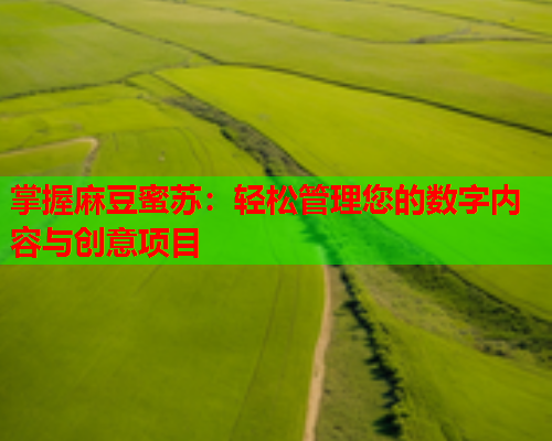 掌握麻豆蜜苏：轻松管理您的数字内容与创意项目